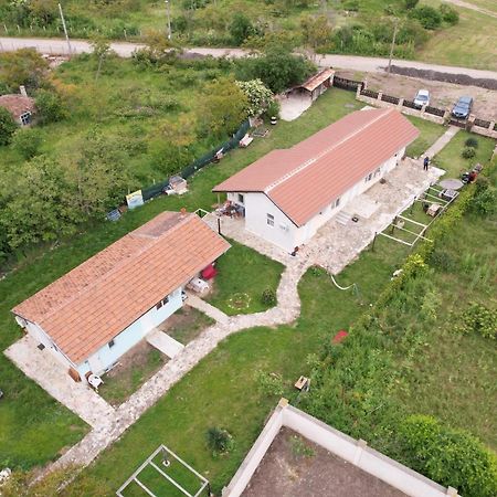 Guest House Viola Ezerec Kültér fotó
