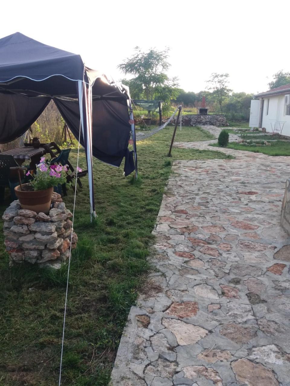 Guest House Viola Ezerec Kültér fotó